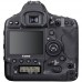 1DX MARK III