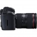5D IV 24-105 4L