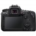 90D BODY