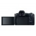 R + RF24-105mm  NON L LENS