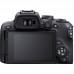 R10 +RF 18-45mm