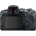 R6 +RF 24-105mm NON L LENS