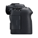 R6 II BODY