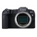 RP+RF 24-105 mm NON L LENS
