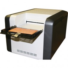 P510L